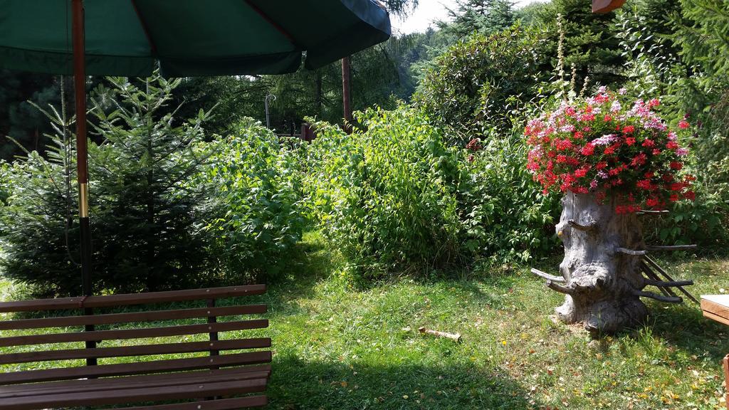 Pokoje Na Skalicy Ustroń Esterno foto